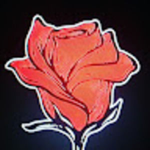 Meet your Posher, Meredith